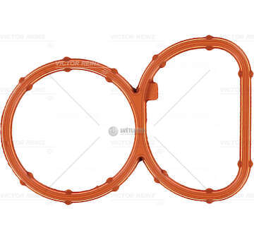 Gasket, intake manifold COLL.ASPIRAZIONE BMW COUPE' Victor Reinz