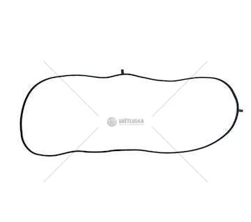 Gasket, oil sump CURSOR 11 - F3G 2016 Iveco