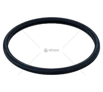 Gasket, thermostat EUROCARGO - F4AFE411/F4AFE611 Elring