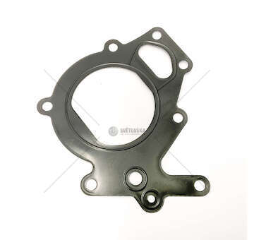 Gasket, thermostat housing EUROSTAR/STRALIS - F3AE3681A/B/D/Y Elring