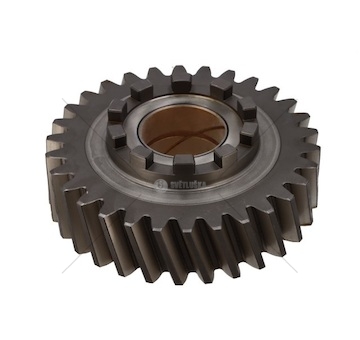 GEAR & BUSH ASSY 30 T. EURORICA 60200227