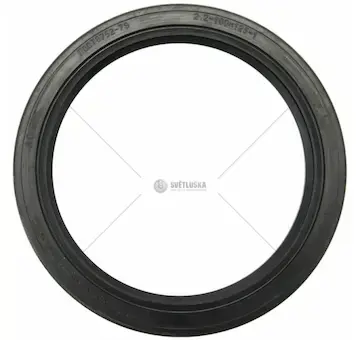 Gufero 100x125x12 | 2401002305