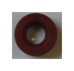 Gufero 10x19x7 G Si  40549
