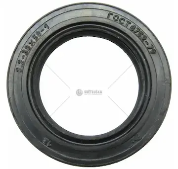 Gufero 38x58x10 | 2238581