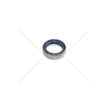 Gufero 40x55x15,5 CA 930255