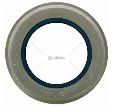 Gufero 54x81x21 mm | 881021M1