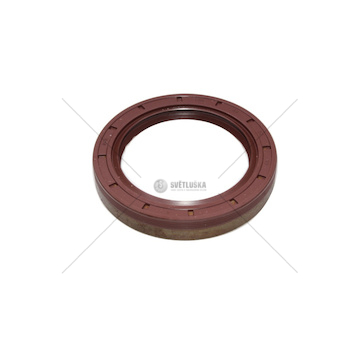 Gufero 58x80x13 62452506