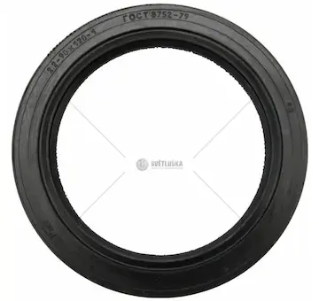 Gufero 90x120x12 | 229012012