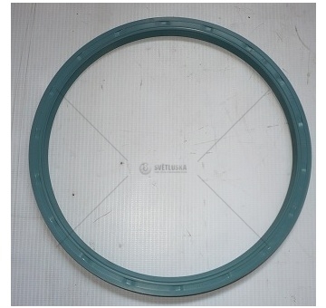 Gufero AS 170x190x9 WDR HNBR