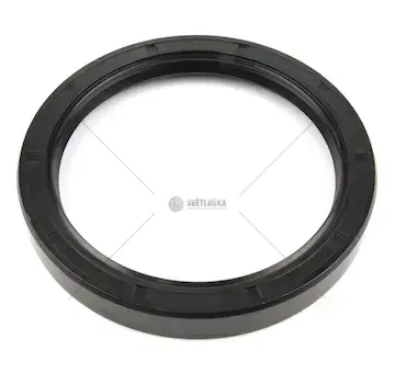 Gufero gp 80x100x13 nbr un029401.0 | TZ054793