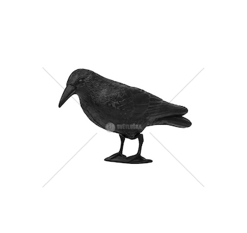 Havran - strašák ptáků a hlodavců