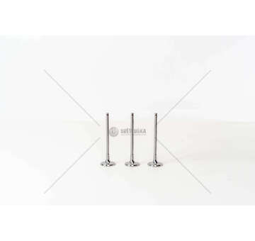 Inlet Valve 1.2 BZ HMZ/HNZ/HNP - 208/308 IN. Mec-Diesel