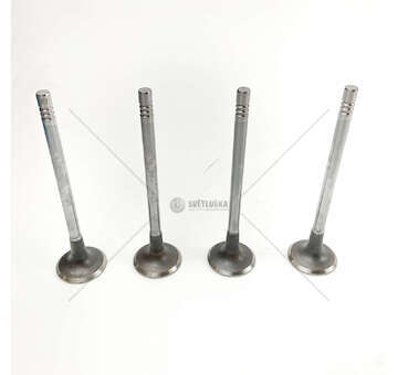 Inlet Valve 1.5 ZTDA/B - ZTJA/B/C - FOCUS IN Mec-Diesel