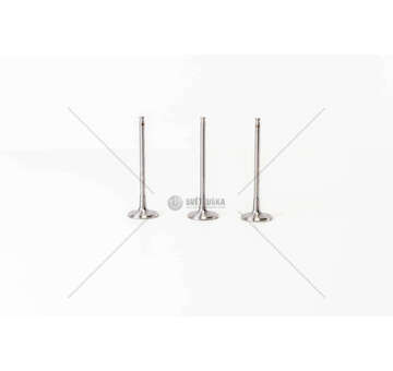 Inlet Valve 108/208/2008/301/308 1.2 VTI IN Mec-Diesel