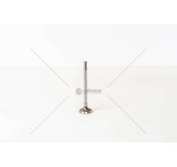 Inlet Valve 126/650/126 BIS IN Mec-Diesel