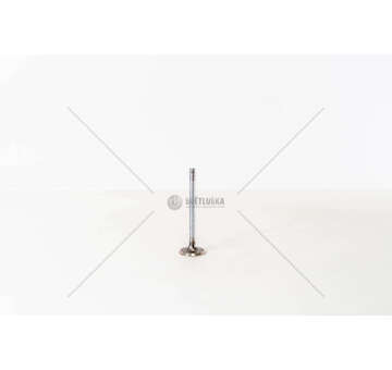 Inlet Valve 12NZ/C12NZ/14NV - COMBO/ASTRA/CORSAIN Mec-Diesel