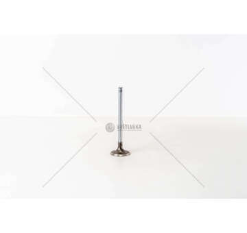 Inlet Valve 138B6 - REGATA/RITMO 1.7 D IN Mec-Diesel