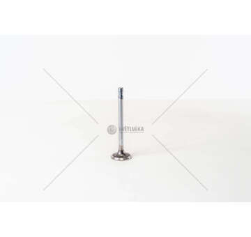 Inlet Valve 141 A.000 - PANDA 650 IN Mec-Diesel