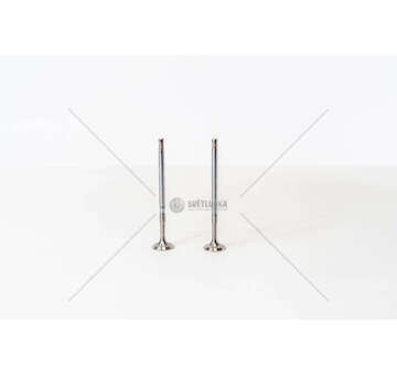 Inlet Valve 199A1/199B2 - PANDA/PUNTO 1.3 IN Mec-Diesel