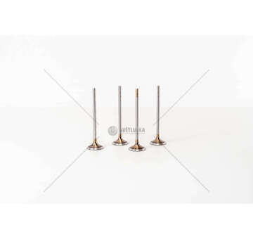 Inlet Valve 2.0 TDI CXEB/FA/HA MULTIVAN IN Mec-Diesel