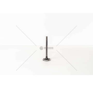 Inlet Valve 2L/2LT - DYNA/HILUX/HIACE 2.4 TD Mec-Diesel