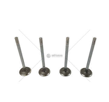 Inlet Valve 407 2,7 V6 24V IN Mec-Diesel