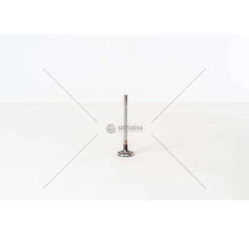 Inlet Valve 4HL/4HT/4HP/224DT - C5/C6/C8/S-MAX IN Mec-Diesel
