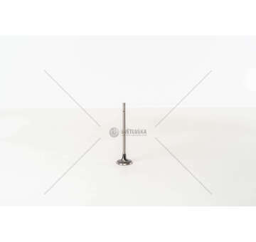 Inlet Valve 5FD/5FU/5FV - C4/DS3/DS4/207/508 IN Mec-Diesel