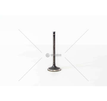 Inlet Valve 8040.05/25/45 - 8060.05/25/45 IN +0,7 Mec-Diesel