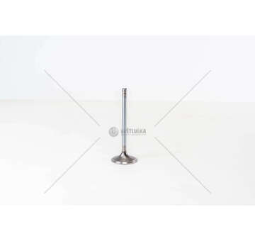 Inlet Valve 8040/8060.05/25/45 IN Iveco