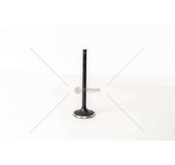 Inlet Valve 8210.02 IN Mec-Diesel