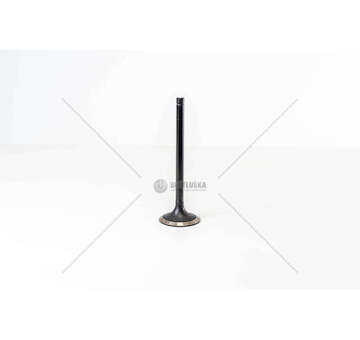 Inlet Valve 8210.22/42 - EUROSTAR/EUROTECH IN Iveco