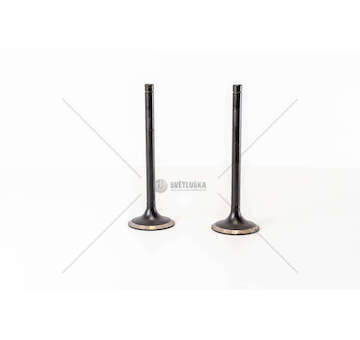 Inlet Valve 8210.22/42 - EUROSTAR/EUROTECH IN Mec-Diesel