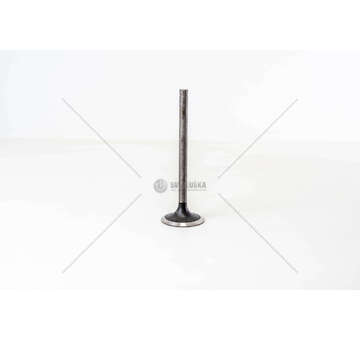 Inlet Valve 8280.22 - 190.42 IN Mec-Diesel