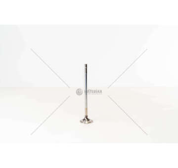 Inlet Valve 8460.21/41 - IN Iveco