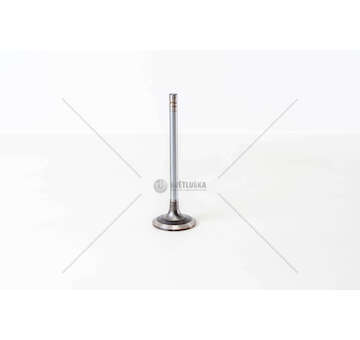 Inlet Valve 8460.21/41 IN Mec-Diesel