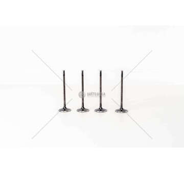 Inlet Valve A 16 XNT IN Mec-Diesel