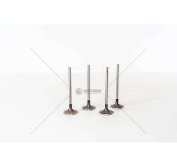 Inlet Valve A3/A4/Q5 AWA AXW BLX/R IN Mec-Diesel