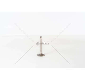 Inlet Valve A4 2.0 TdI Eng BPW IN Mec-Diesel