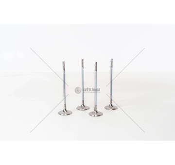 Inlet Valve Astra 1,6 16V I Z16XEP IN Mec-Diesel