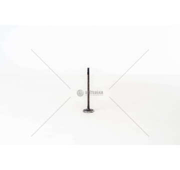 Inlet Valve AVEO SPARK 1.2 B12D1 IN 25,85 Mec-Diesel