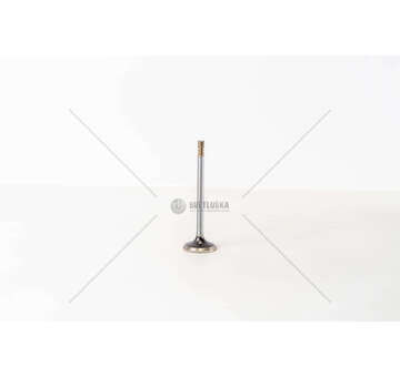 Inlet Valve B.M.W.324/524D IN Mec-Diesel