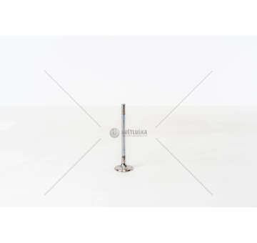 Inlet Valve BVN/CASB/CCMA - A4/Q5/TOUAREG IN Mec-Diesel