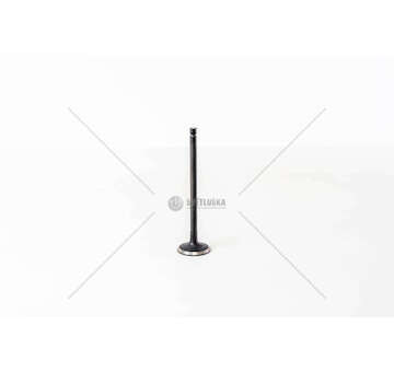 Inlet Valve CARNIVAL J3 2.9CRDI 4V 98> Mec-Diesel