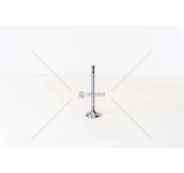 Inlet Valve CINQUECENTO / 700 IN Mec-Diesel