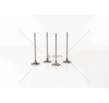 Inlet Valve CLIO 2,0 16V F4R720 IN Mec-Diesel