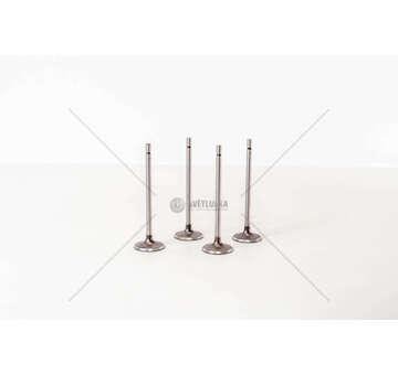 Inlet Valve CLIO - MEGANE 1.6I 16V ENG.K4M IN Mec-Diesel