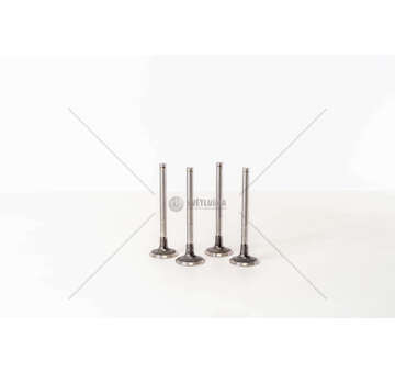 Inlet Valve CLIO/MEGANE/KANG./EXPR.L.111.6 - 45° IN Mec-Diesel