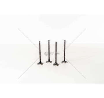 Inlet Valve Corolla 2.0 D A 1CDFTV Mec-Diesel