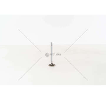 Inlet Valve Corsa 1.8 16V A E18XE IN Mec-Diesel